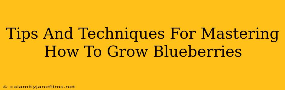 Tips And Techniques For Mastering How To Grow Blueberries