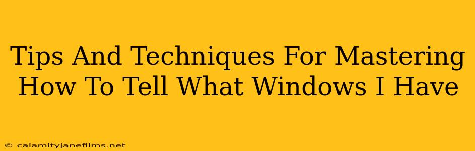 Tips And Techniques For Mastering How To Tell What Windows I Have