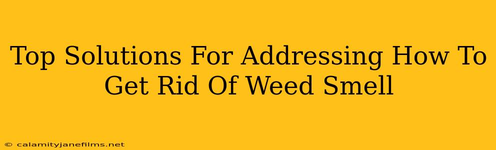 Top Solutions For Addressing How To Get Rid Of Weed Smell