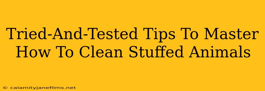 Tried-And-Tested Tips To Master How To Clean Stuffed Animals