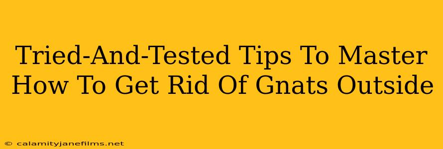 Tried-And-Tested Tips To Master How To Get Rid Of Gnats Outside