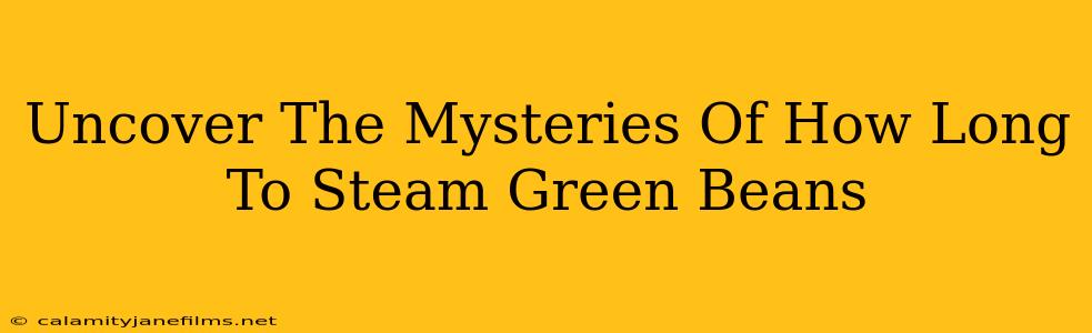 Uncover The Mysteries Of How Long To Steam Green Beans