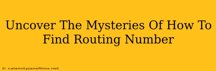 Uncover The Mysteries Of How To Find Routing Number