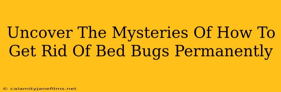 Uncover The Mysteries Of How To Get Rid Of Bed Bugs Permanently