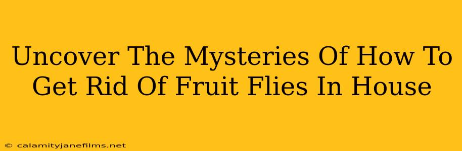 Uncover The Mysteries Of How To Get Rid Of Fruit Flies In House