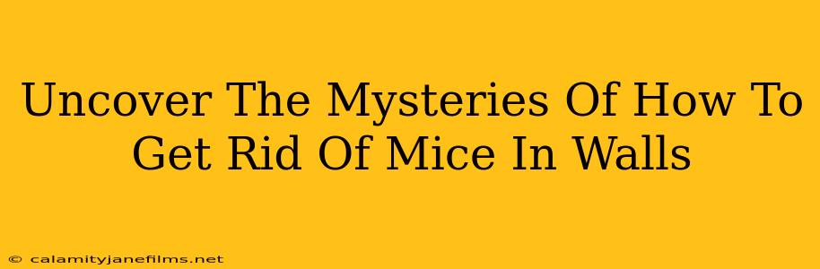 Uncover The Mysteries Of How To Get Rid Of Mice In Walls