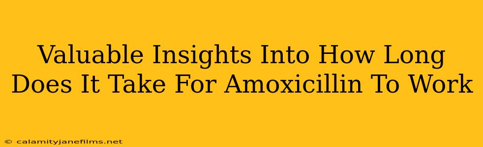 Valuable Insights Into How Long Does It Take For Amoxicillin To Work