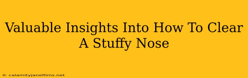 Valuable Insights Into How To Clear A Stuffy Nose