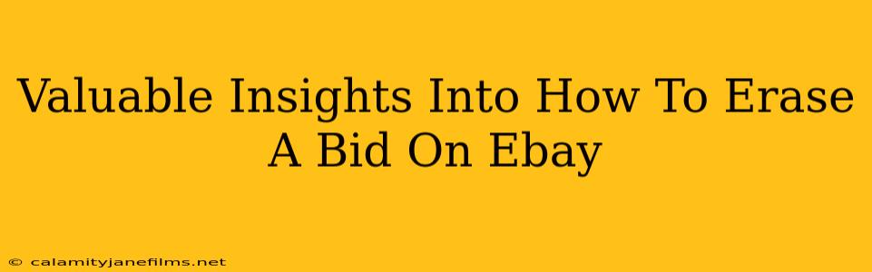 Valuable Insights Into How To Erase A Bid On Ebay