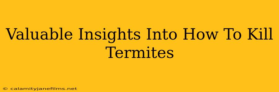 Valuable Insights Into How To Kill Termites