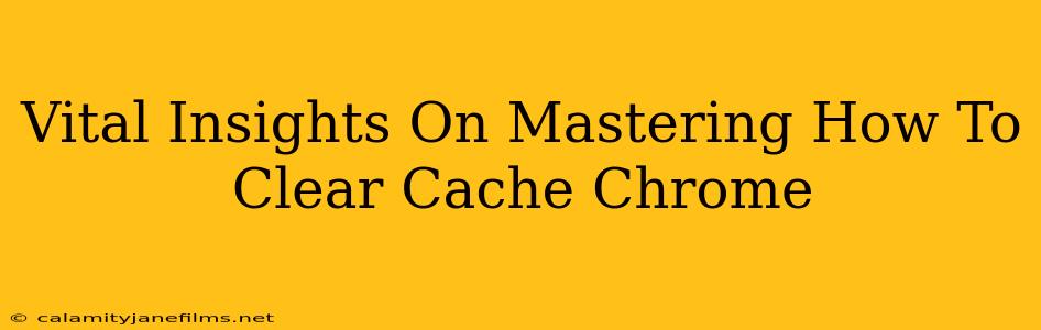 Vital Insights On Mastering How To Clear Cache Chrome