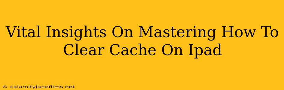 Vital Insights On Mastering How To Clear Cache On Ipad