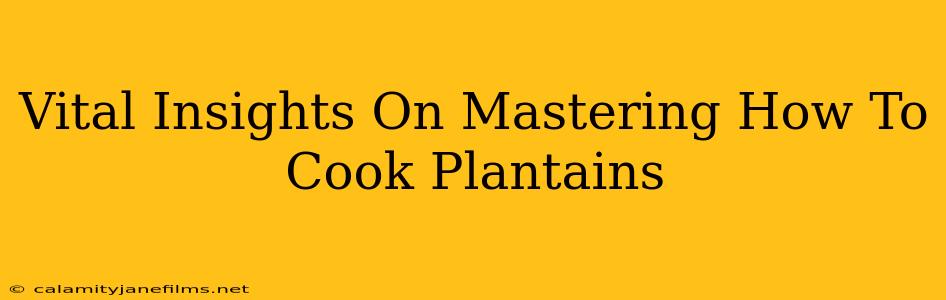 Vital Insights On Mastering How To Cook Plantains