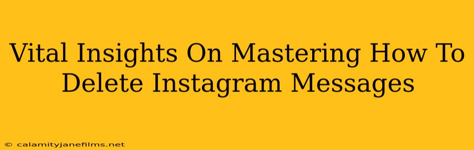 Vital Insights On Mastering How To Delete Instagram Messages