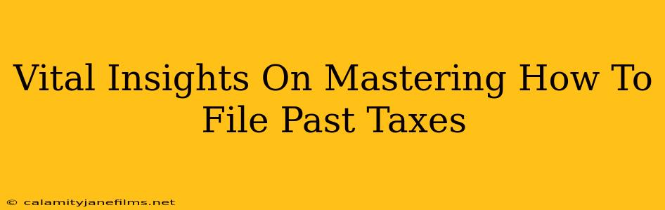 Vital Insights On Mastering How To File Past Taxes