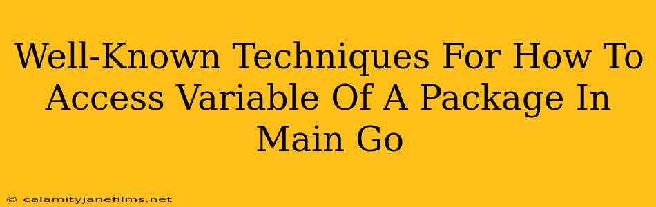 Well-Known Techniques For How To Access Variable Of A Package In Main Go