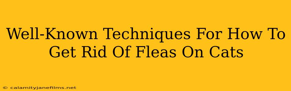 Well-Known Techniques For How To Get Rid Of Fleas On Cats