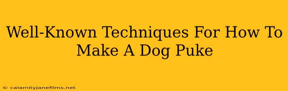 Well-Known Techniques For How To Make A Dog Puke