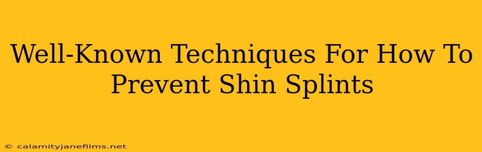 Well-Known Techniques For How To Prevent Shin Splints